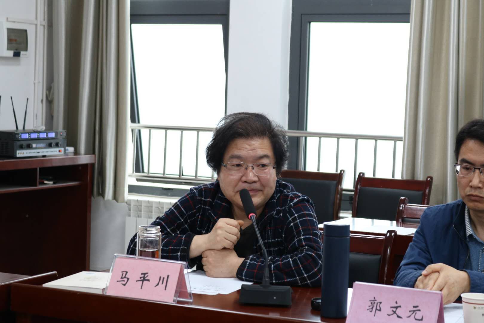 陕西文学研究所专职研究员、著名文艺评论家马平川发言